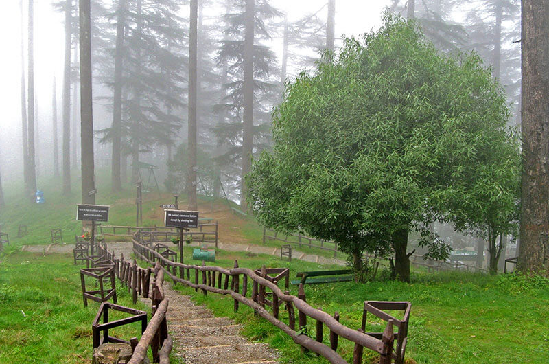 Hotel on Dhanaulti road Dehradun